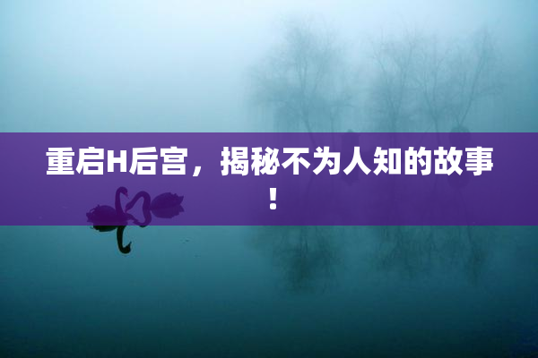 重启H后宫，揭秘不为人知的故事！