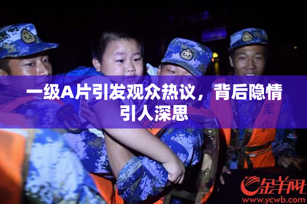 一级A片引发观众热议，背后隐情引人深思