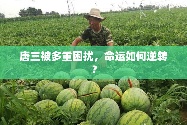 唐三被多重困扰，命运如何逆转？