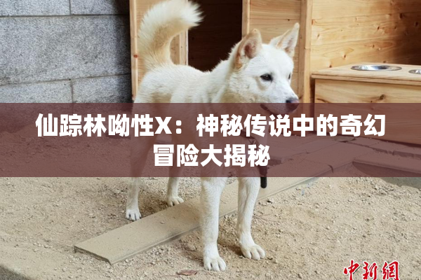 仙踪林呦性X：神秘传说中的奇幻冒险大揭秘