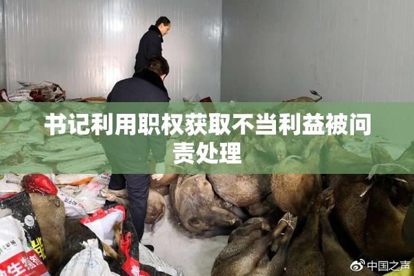 书记利用职权获取不当利益被问责处理
