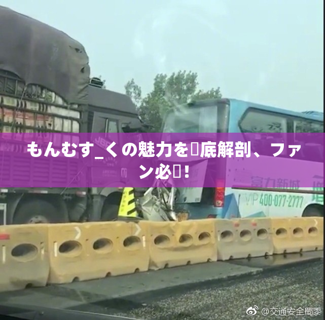 もんむす_くの魅力を徹底解剖、ファン必見！