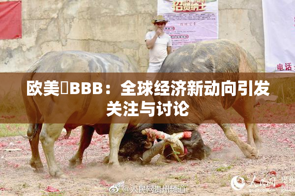 欧美槡BBB：全球经济新动向引发关注与讨论
