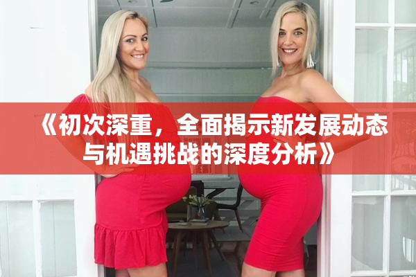 《初次深重，全面揭示新发展动态与机遇挑战的深度分析》