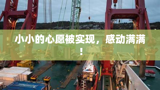 小小的心愿被实现，感动满满！