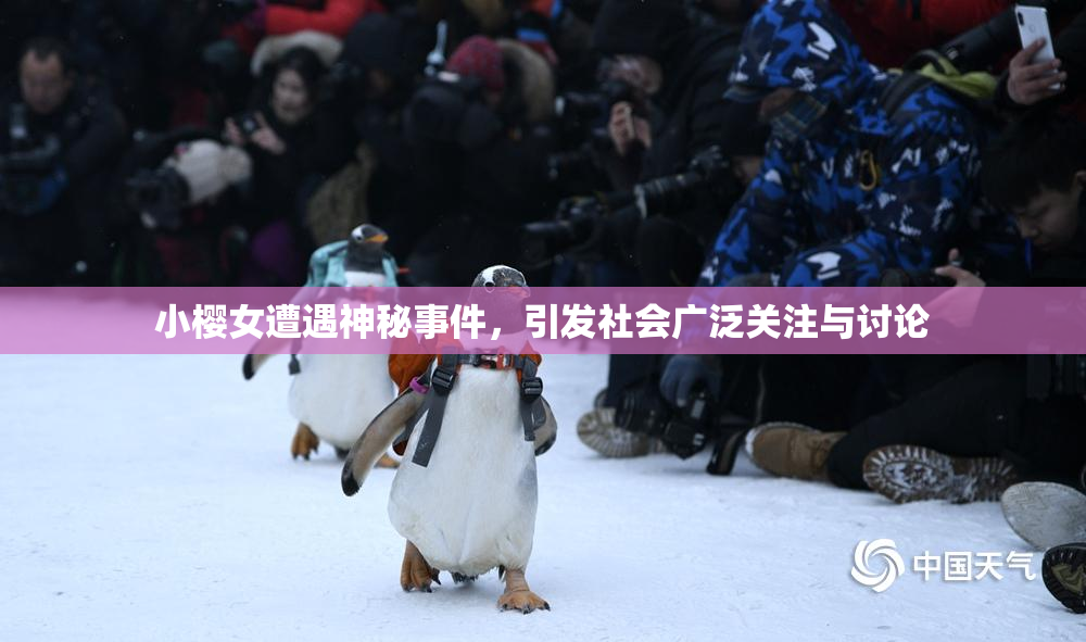 小樱女遭遇神秘事件，引发社会广泛关注与讨论