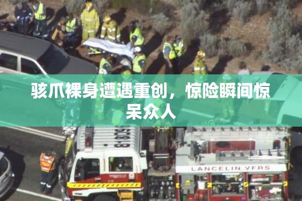 骇爪裸身遭遇重创，惊险瞬间惊呆众人