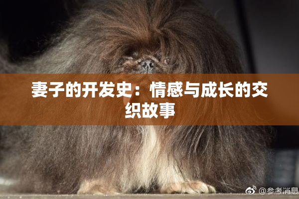 妻子的开发史：情感与成长的交织故事