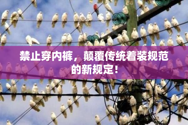 禁止穿内裤，颠覆传统着装规范的新规定！