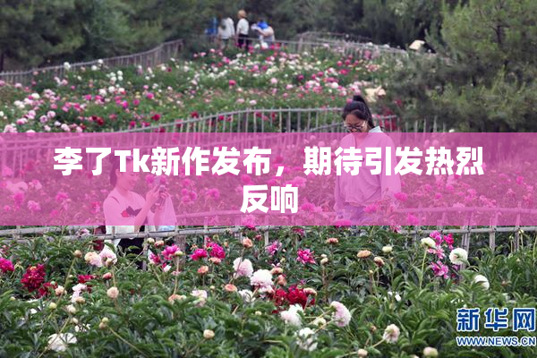 李了Tk新作发布，期待引发热烈反响