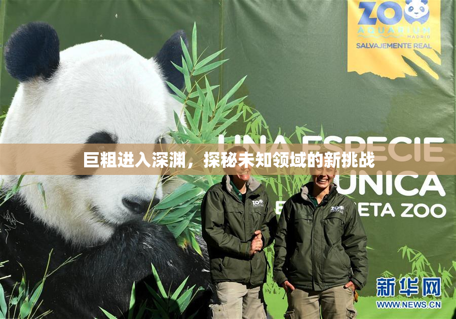 巨粗进入深渊，探秘未知领域的新挑战