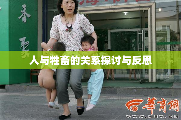 人与牲畜的关系探讨与反思