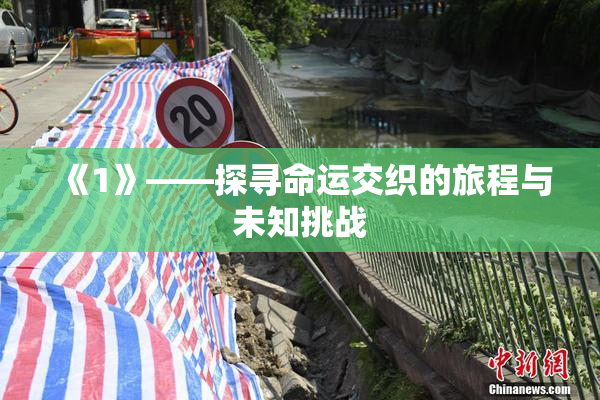 《1》——探寻命运交织的旅程与未知挑战