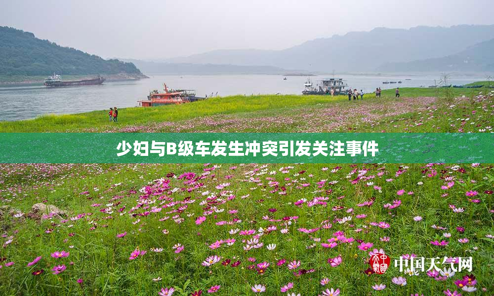 少妇与B级车发生冲突引发关注事件