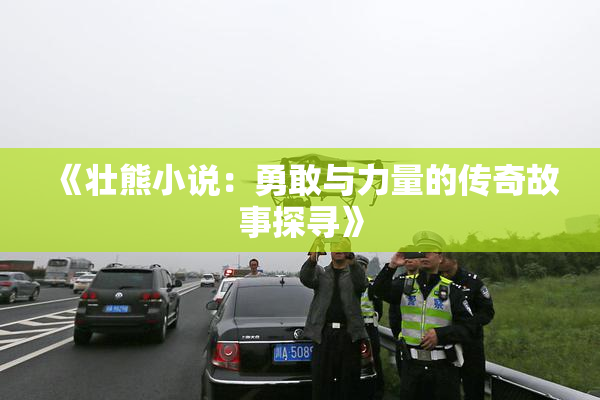 《壮熊小说：勇敢与力量的传奇故事探寻》
