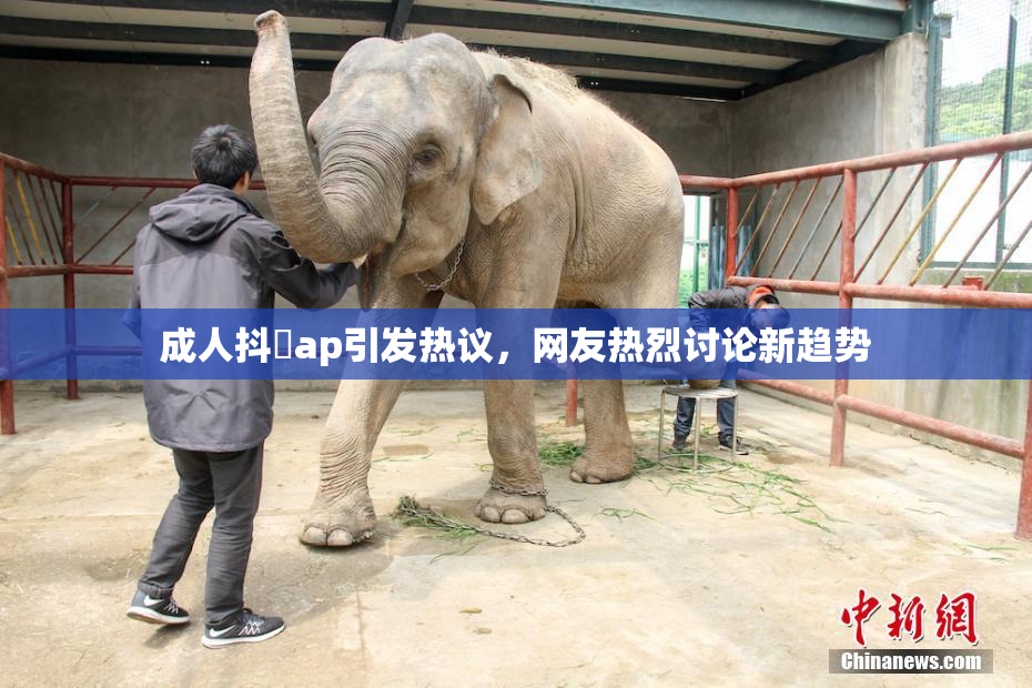 成人抖抈ap引发热议，网友热烈讨论新趋势