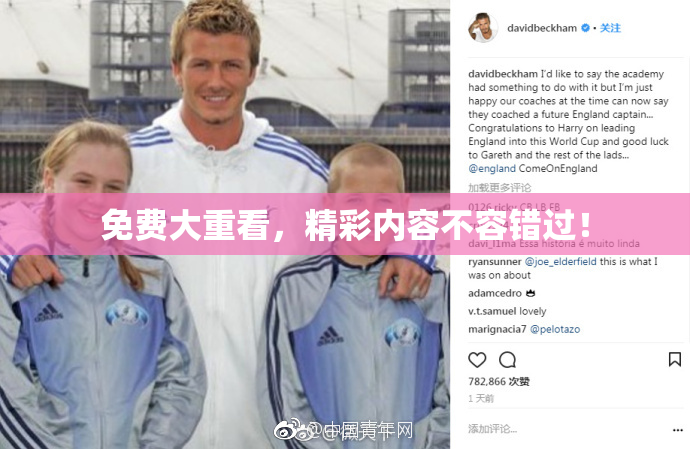 免费大重看，精彩内容不容错过！
