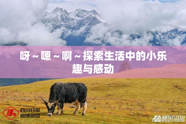 呀～嗯～啊～探索生活中的小乐趣与感动