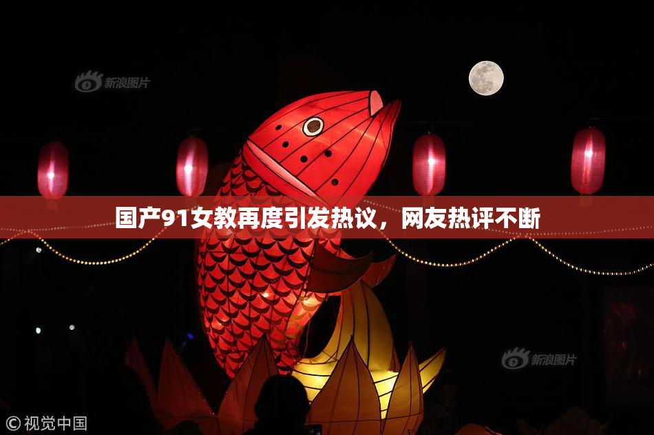 国产91女教再度引发热议，网友热评不断