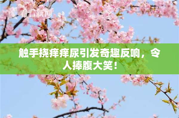 触手挠痒痒尿引发奇趣反响，令人捧腹大笑！