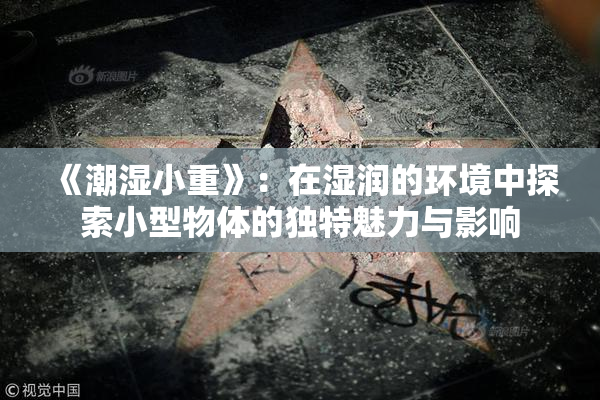 《潮湿小重》：在湿润的环境中探索小型物体的独特魅力与影响