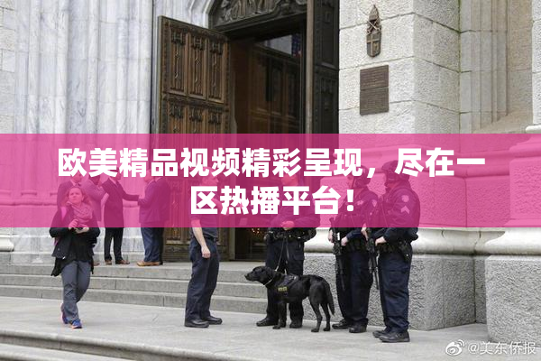 欧美精品视频精彩呈现，尽在一区热播平台！