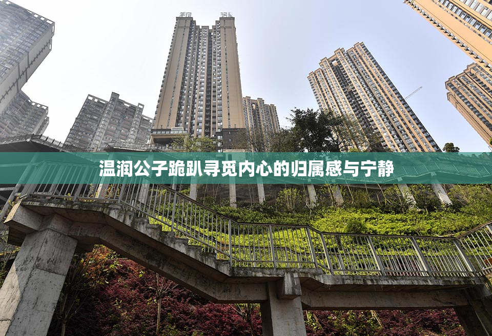 温润公子跪趴寻觅内心的归属感与宁静