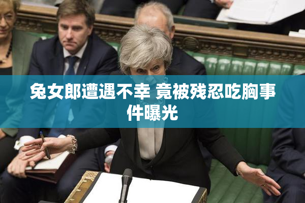 兔女郎遭遇不幸 竟被残忍吃胸事件曝光