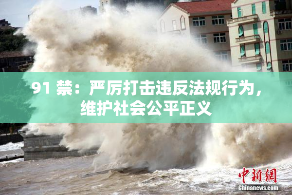 91 禁：严厉打击违反法规行为，维护社会公平正义