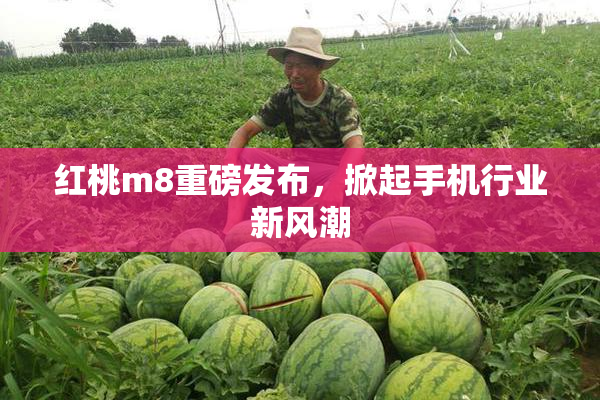 红桃m8重磅发布，掀起手机行业新风潮