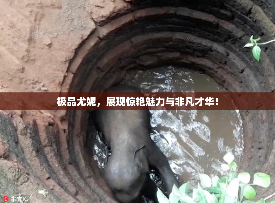 极品尤妮，展现惊艳魅力与非凡才华！