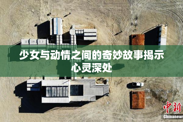 少女与动情之间的奇妙故事揭示心灵深处