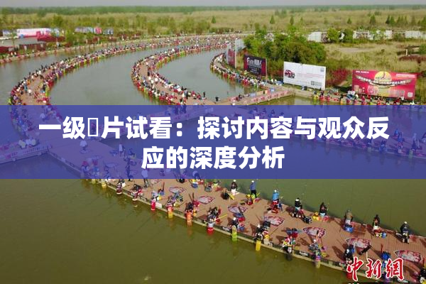 一级婬片试看：探讨内容与观众反应的深度分析