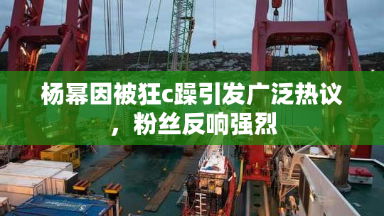 杨幂因被狂c躁引发广泛热议，粉丝反响强烈