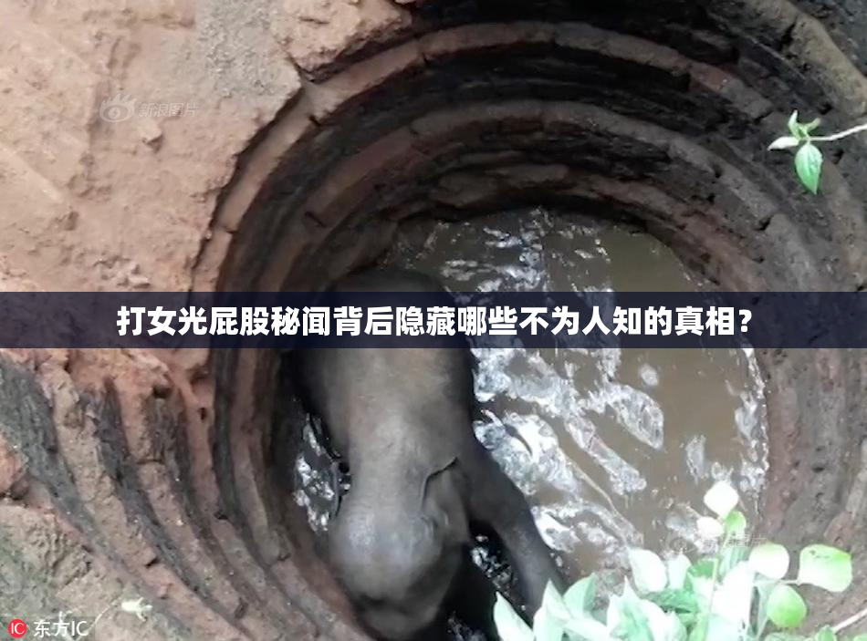 打女光屁股秘闻背后隐藏哪些不为人知的真相？