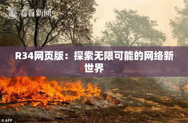 R34网页版：探索无限可能的网络新世界