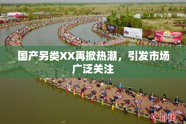 国产另类XX再掀热潮，引发市场广泛关注