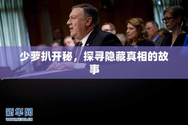 少萝扒开秘，探寻隐藏真相的故事
