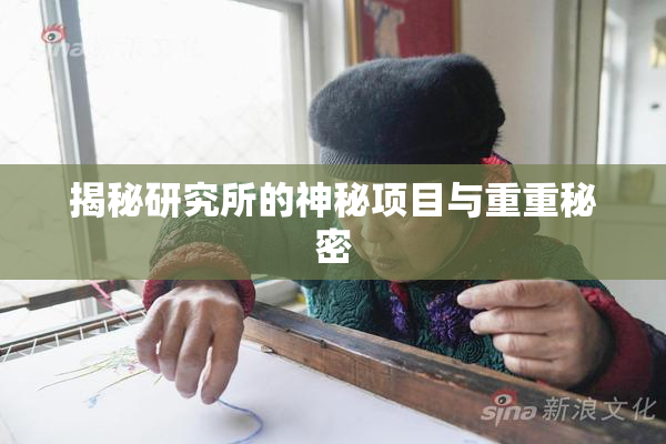 揭秘研究所的神秘项目与重重秘密