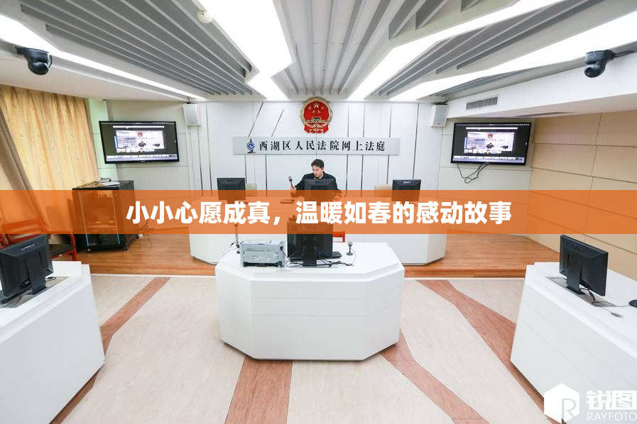 小小心愿成真，温暖如春的感动故事