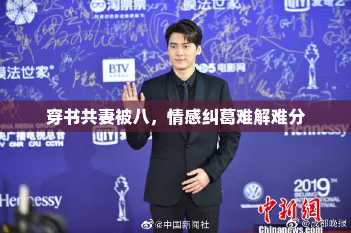 穿书共妻被八，情感纠葛难解难分