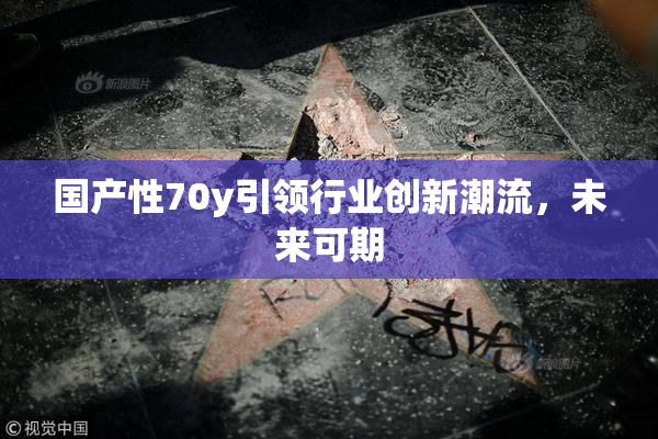 国产性70y引领行业创新潮流，未来可期