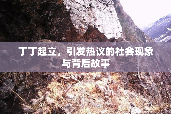 丁丁起立，引发热议的社会现象与背后故事