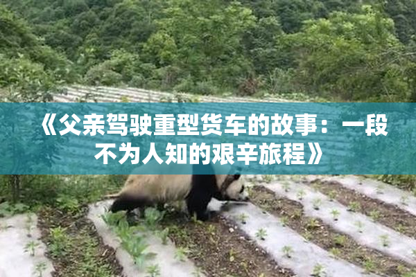 《父亲驾驶重型货车的故事：一段不为人知的艰辛旅程》