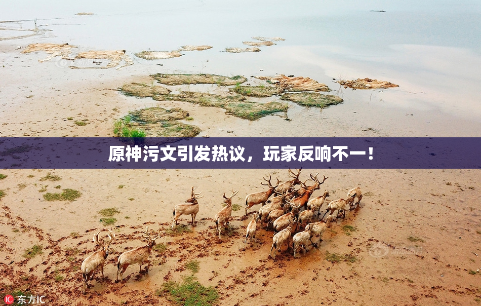 原神污文引发热议，玩家反响不一！