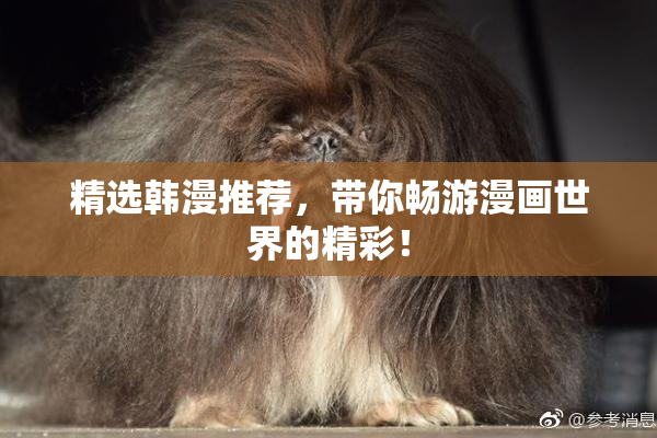 精选韩漫推荐，带你畅游漫画世界的精彩！