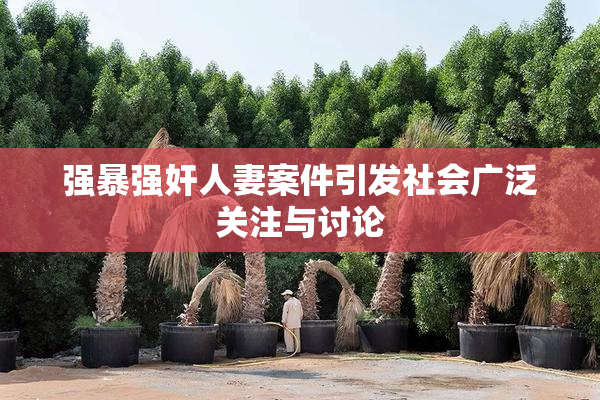 强暴强奸人妻案件引发社会广泛关注与讨论