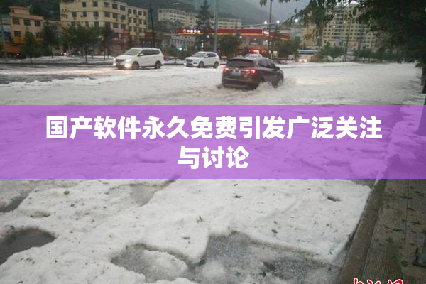 国产软件永久免费引发广泛关注与讨论