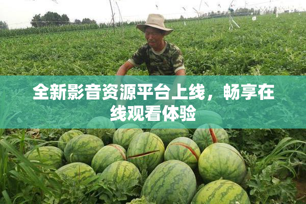 全新影音资源平台上线，畅享在线观看体验