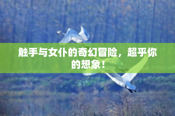 触手与女仆的奇幻冒险，超乎你的想象！